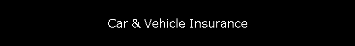 Car & Vehicle Insurance